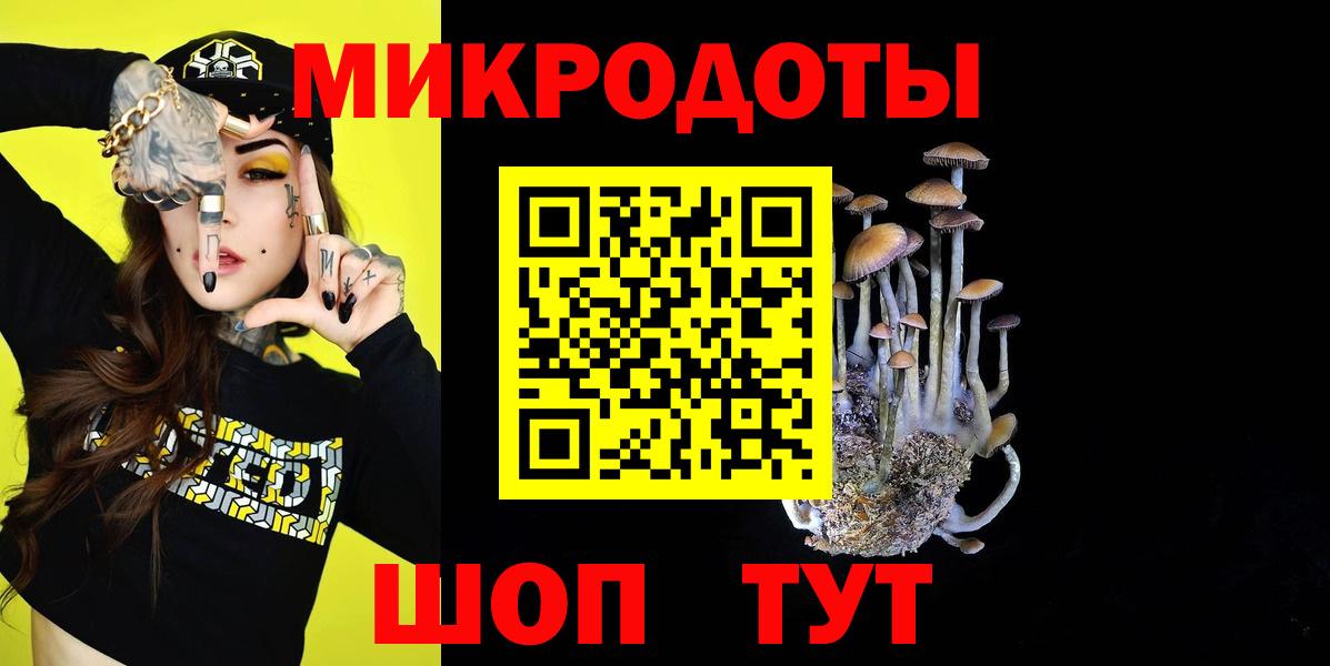 Галлюциногенные грибы Psilocybine cubensis Биробиджан