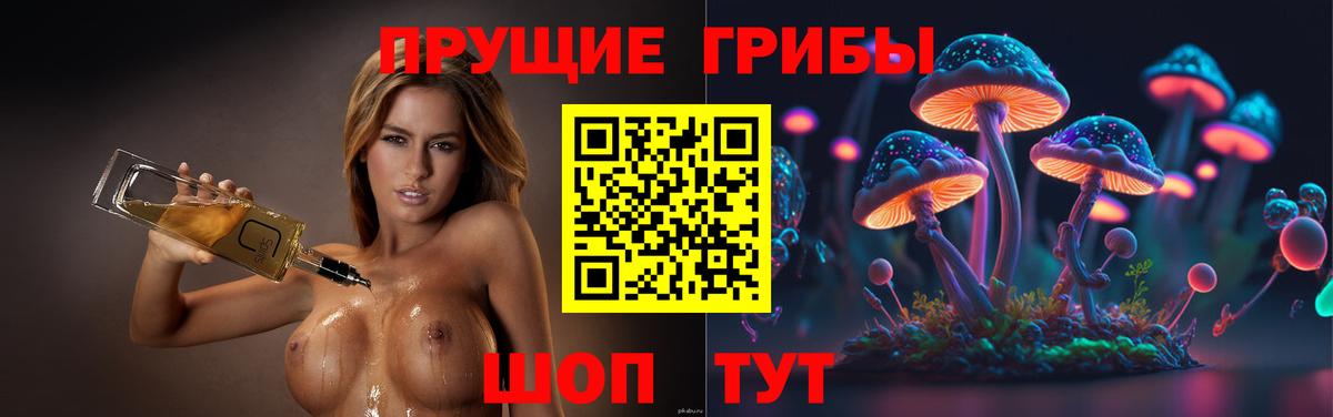 Псилоцибиновые грибы MAGIC MUSHROOMS  Вход с VPN  Биробиджан 